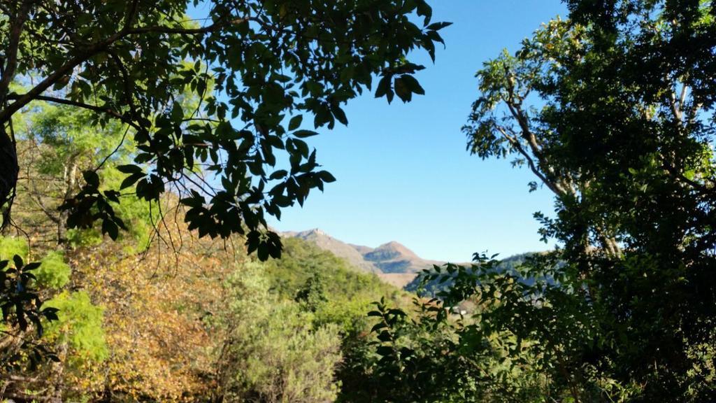Berg Treat Βίλα Champagne Valley Δωμάτιο φωτογραφία